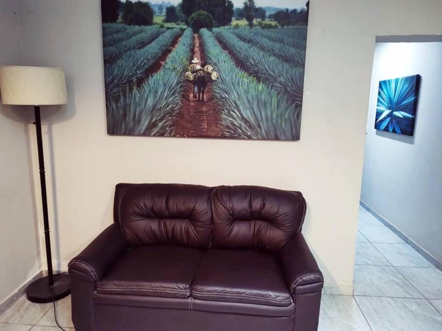 Hermoso Departamento Centrico Con Servicios Leilighet Tequila Eksteriør bilde