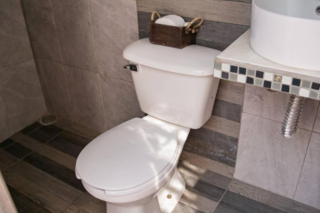 Hermoso Departamento Centrico Con Servicios Leilighet Tequila Eksteriør bilde