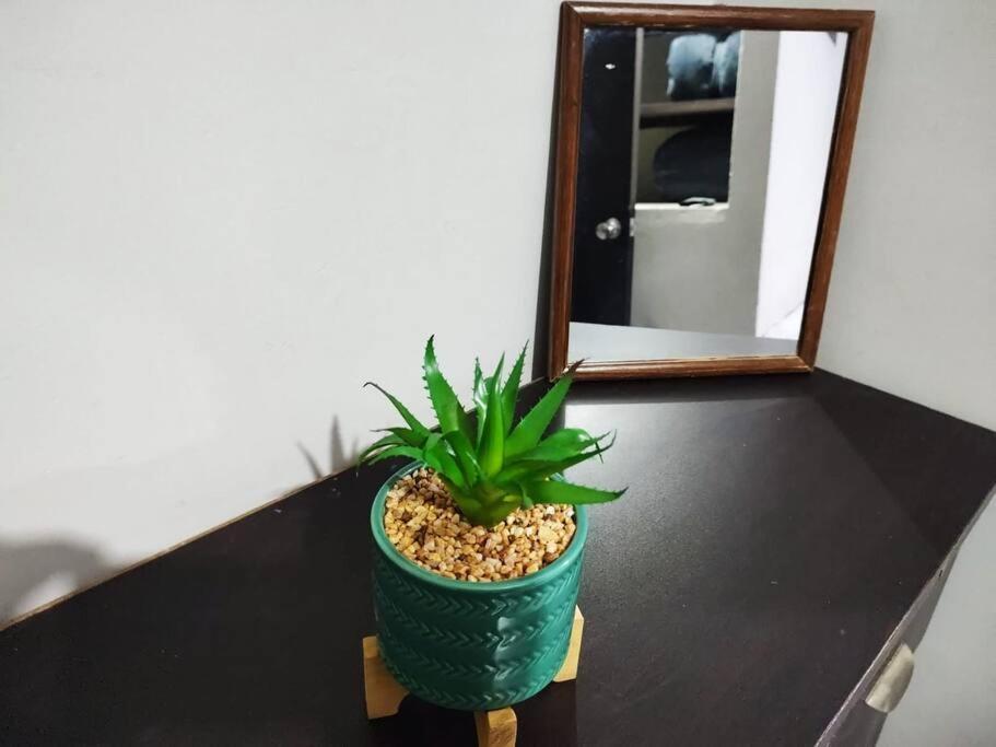 Hermoso Departamento Centrico Con Servicios Leilighet Tequila Eksteriør bilde